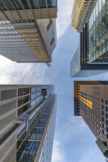 Look up in the morning in the middle of the skyline. Tower blocks and modern glass fronts at sunrise. Nice overview of the skyscrapers and their surroundings. Frankfurt am Main, Hesse, Germany