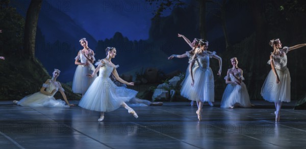 The romantic ballet