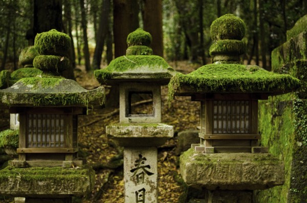 Typical japanese stone lanterns in Nara, Japan, Nara, Japan