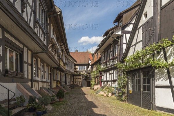 Half-timbered houses in the Engelgasse, Gengenbach, Black Forest, Kinzigtal, Baden-Württemberg, Germany