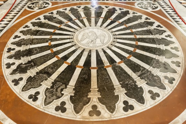 An image of the Cathedral in Siena