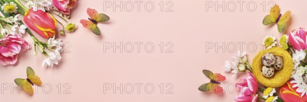 Frühlingsblumen, Wachteleier im Nest und Schmetterlinge auf rosa Hintergrund. Ostergruß-Banner