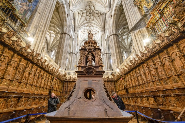 Chor, Catedral de la Asunción de la Virgen, Salamanca, Autonome Gemeinschaft Kastilien und León, Spanien