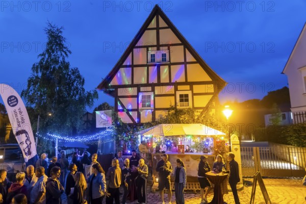 32nd Elbhangfest colourful hustle and bustle in Loschwitz in the evening, Dresden, Saxony, Germany