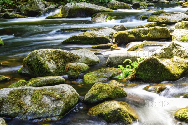 A view of the Bode riverbed in the Harz Mountains in glorious sunshine