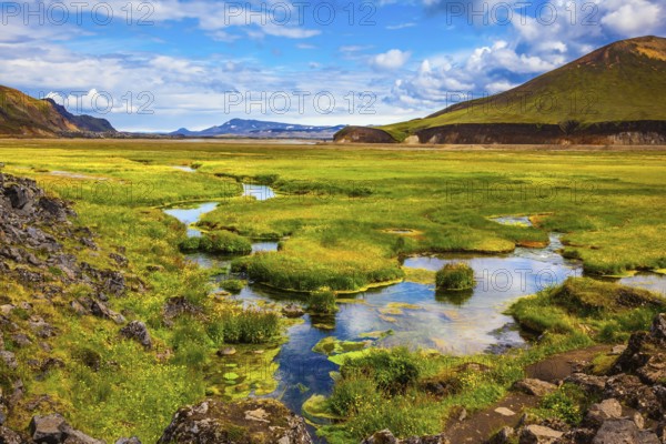 The picturesque valley in Landmannalaugar national park. Summer in Iceland. Green grass among the thermal springs