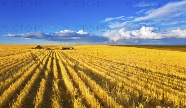Solar autumn midday on fields of Montana