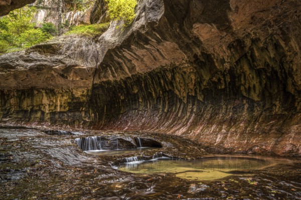 Magnificent Subway gorge landmark in the Zion National Park in Utah, USA