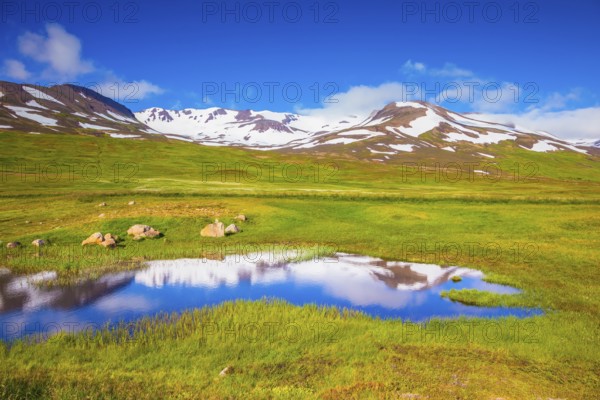 The fields overgrown with fresh green grass. The hills are covered with snow and are reflected in a small lake. Summer Iceland