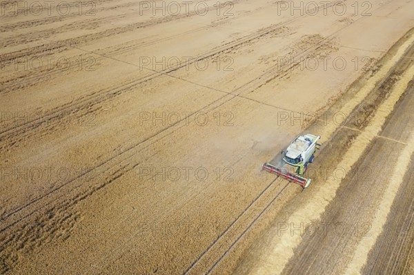 Combine harvester working on a wheat field. Combine harvester Aerial view