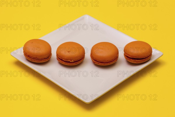 Traditional french colorful macarons on the white plate