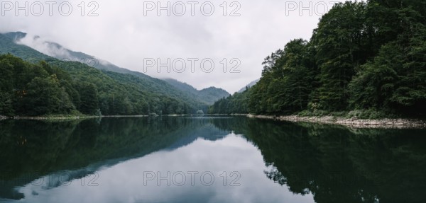 Lake surrounded by a green forest in the Biogradska Gora park. Montenegro.