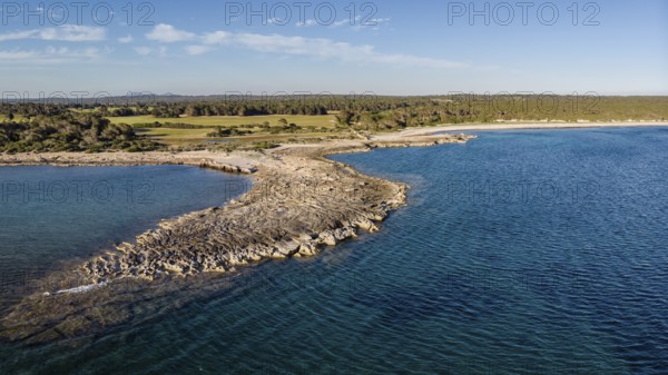 Punta de S Illot den Curt, nature reserve, Santanyi, Majorca, Balearic Islands, Spain