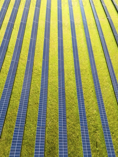Photovoltaic Solar Panels in Green Field in Portugal. Aerial View