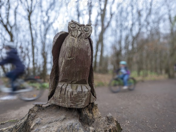 Wooden owl on a path in the haunted forest on the cliffs leading to the Baltic Sea, Nienhagen, Mecklenburg-Vorpommern, Germany
