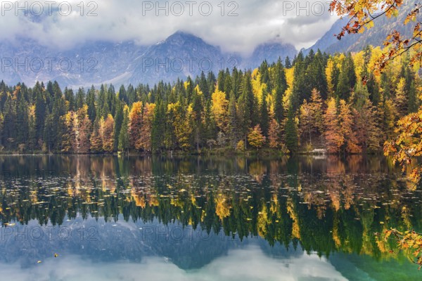 The colors of the autumn forests are reflected in the icy water of the lake. Sunrise. Mountains covered in morning mist. Picturesque Lago Fusine in Italy