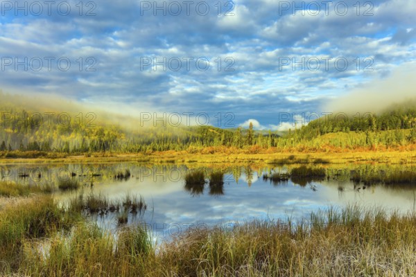 Cool cloudy morning in the Rocky Mountains. Patricia Lake among the firs and pines. Water reflects the sky. The concept of ecotourism