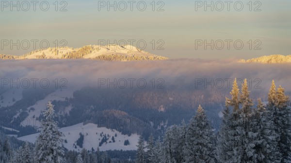 Sunrise in the alps in winter with fresh snow above the clouds near Oberjoch