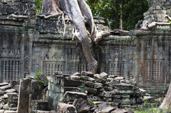 Buddhist temple buildings, jungle temples, mystical, Ta Prohm, Buddhist temple complex, UNESCO World Heritage Site, Angkor Wat, Siem Reap, Cambodia, Southeast Asia