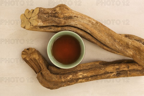 Traditional medicine Ayahuasca. Banisteriopsis caapi wood pieces. Medical natural psychedelics, Enteogens