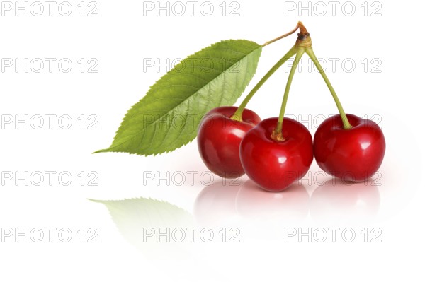 Fruit 694