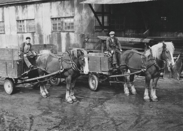 In the 1950s. Two delivery men with their horses. At this time lorries and cars was beginning to take over transports in favor of the horse drawn carriages. According to the caption, these two horses are the last two of the original 100 horses used by the company. Sweden 1954