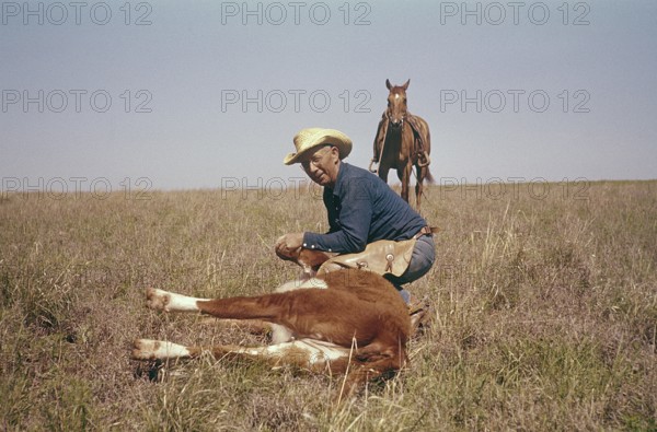 USA Oklahoma. A cowboy with a calf. 1959. Kodachrome slide original. Credit Roland Palm ref 6-9-4