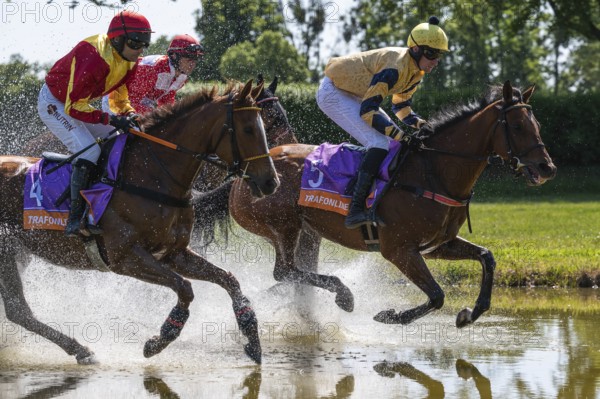 04.06.2023 Wroclaw, Ladies Day WROCLAW, POLAND - JUNE 4, 2023: Racecourse WTWK Partynice. International race with obstacles for five years and older horses. Jockey Marek Stromsky on horse Sophist (4) and Pavel Slozil on Reggaeton (5).