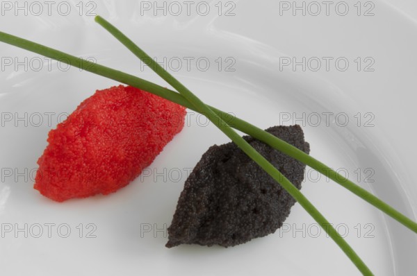 Black and red caviar decorated in dish