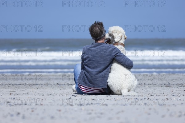 Woman sitting together with her dog, a white poodle, on the beach in the sunshine, hugging him and looking at the sea, Groede, Zeeland, Netherlands