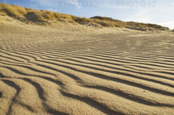 Pattern in the sand at the beach