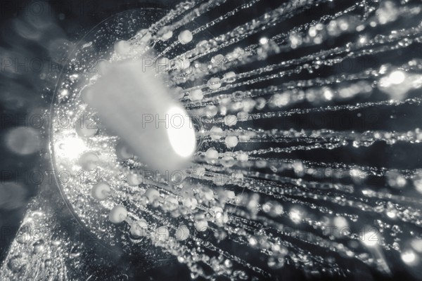Shower head with flow of water closeup