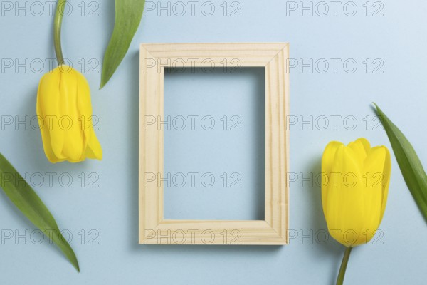 Wooden photo frame with yellow tulip flowers on blue background. top view, copy space