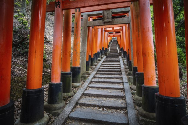 Red Tori Gate at Fushimi Inari Shrine in Kyoto, Japan. One of the largest tourist attractions in Japan
