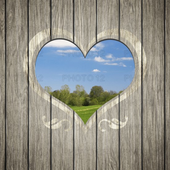 An image of a beautiful wooden heart nature
