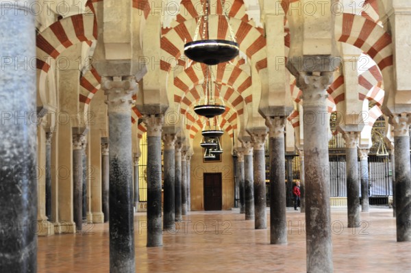 La Mezquita, Mosque, Cathedral of Cordoba, Cordoba, Andalusia, Spain, Europe, Elephant-like arches and rows of columns in a mosque with red and white patterns and elegant style