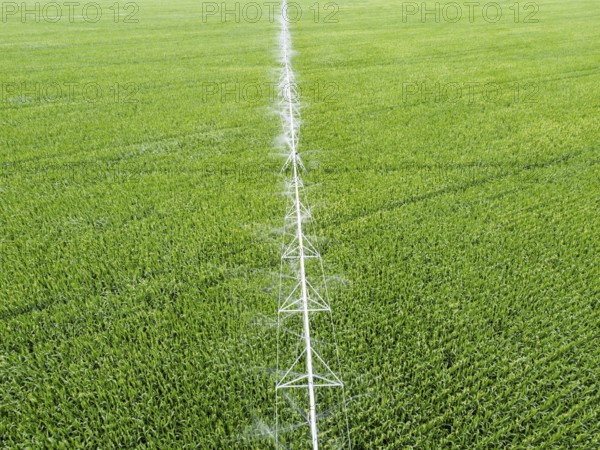 Irrigation system over corn field, top view