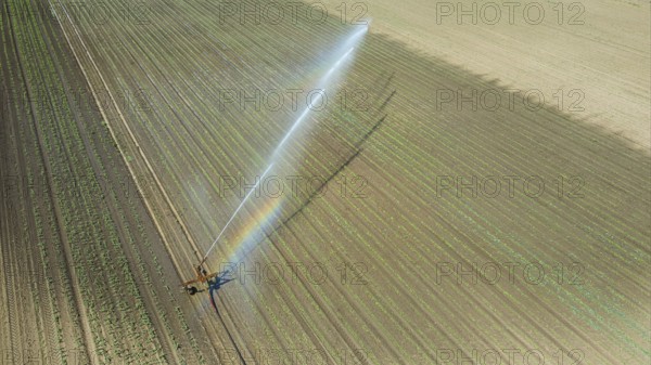 Irrigation equipment watering field. Aerial view. Irrigation of a young plants