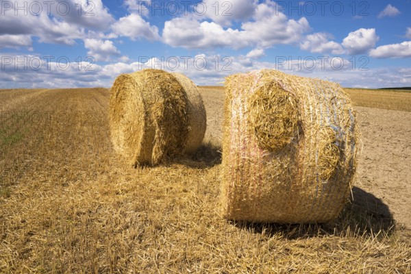 Rolls of hay in the field against the background of a beautiful sky