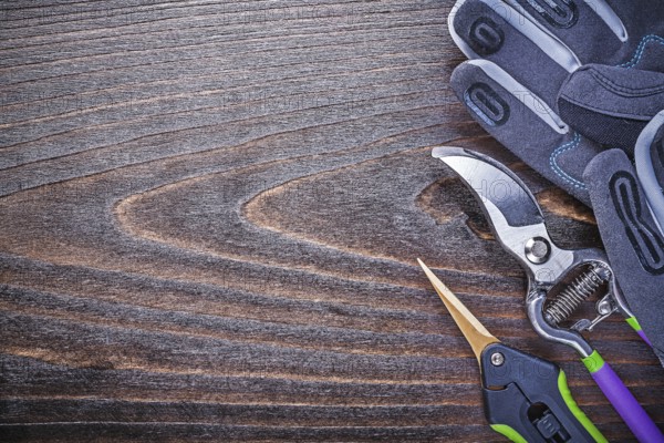Working gloves metal garden shears pruner on wooden board