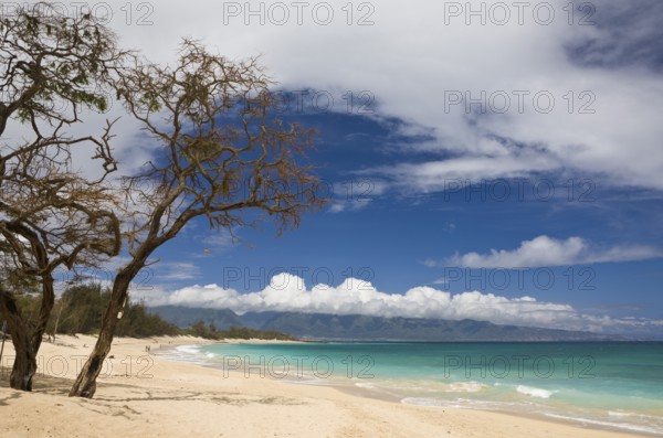 Beach at Kanaha Beach Park, Maui, Hawaii, USA