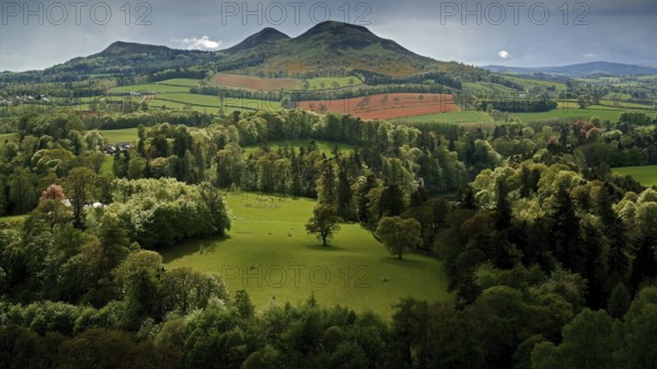Europe, Scotland, Great Britain, England, landscape, Scott's view, viewpoint near Bemersyde, after Sir Walter Scott, Bemersyde
