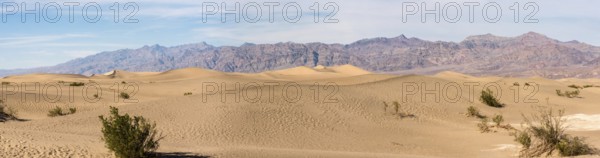 Scenic Mesquite Flat Sand Dunes in the Death Valley, USA