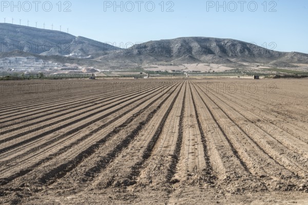 Plowed land. Sunny day