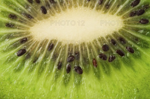 Kiwi fruit close up background. Cut kiwi fruit