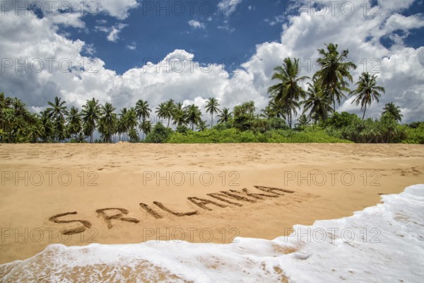 Palm beach