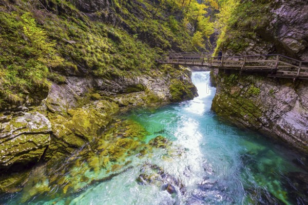 Slovenia. Bubbling waterfalls on a mountain river. On the slopes of the gorge laid wooden walkways with railings. Vintgar gorge. Sunset illuminates the seething stream. The concept of active and photo tourism