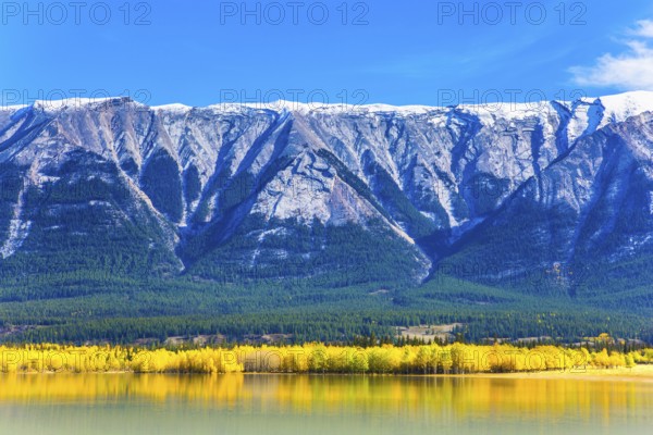 In the famous artificial Abraham lake reflects the golden foliage of aspen and birches. Glowing blue and gold colors. Concept of active, ecological and photo tourism