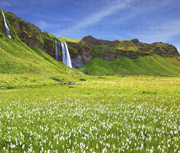 Selyalandfoss waterfall and picturesque flowering fields and streams. Iceland in July. Warm summer day