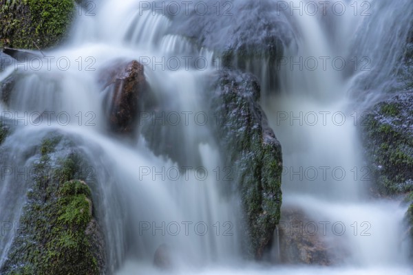 Fresh and beautiful waterfalls in a mountain torrent in spring. La Serva, Champ du feu, Vosges, Alsace, France
